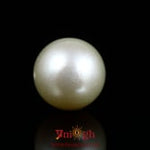 Pearl - 16.65 Carat