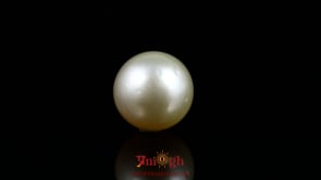 Pearl - 12.45 Carat
