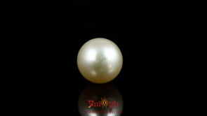 Pearl - 9.15 Carat