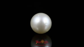 Pearl - 13.15 Carat