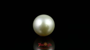 Pearl - 14.45 Carat