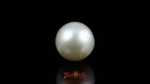 Pearl - 13.9 Carat
