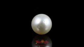 Pearl - 11.25 Carat