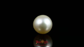 Pearl - 9.7 Carat