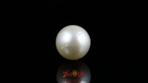 Pearl - 10.8 Carat