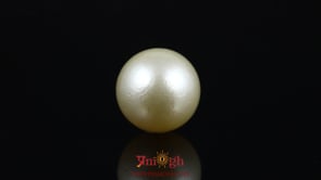 Pearl - 14.65 Carat