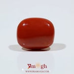 Red Coral - 13.25 Carat