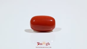 Red Coral - 8.75 Carat