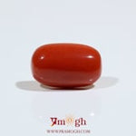 Red Coral - 8.75 Carat