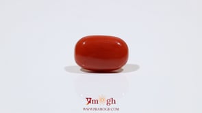 Red Coral - 7.5 Carat