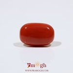 Red Coral - 7.5 Carat
