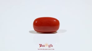 Red Coral - 7.25 Carat