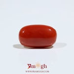 Red Coral - 7.25 Carat