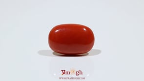 Red Coral - 10.7 Carat