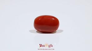 Red Coral - 7.55 Carat