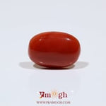 Red Coral - 7.55 Carat