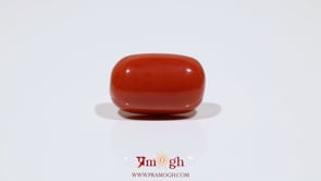 Red Coral - 11.7 Carat