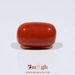 Red Coral - 11.7 Carat