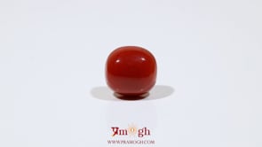 Red Coral - 7.55 Carat
