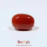Red Coral - 13.2 Carat