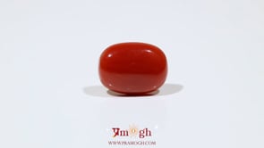 Red Coral - 7.75 Carat