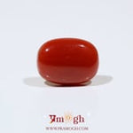 Red Coral - 7.75 Carat