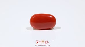 Red Coral - 7.9 Carat