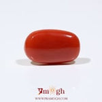 Red Coral - 7.9 Carat