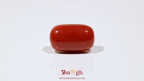 Red Coral - 12.5 Carat