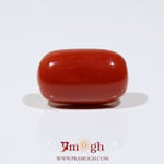 Red Coral - 12.5 Carat