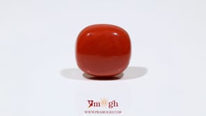 Red Coral - 13.7 Carat