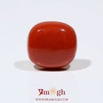 Red Coral - 13.7 Carat