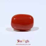 Red Coral - 9.7 Carat