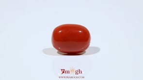 Red Coral - 11.45 Carat