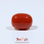 Red Coral - 11.45 Carat