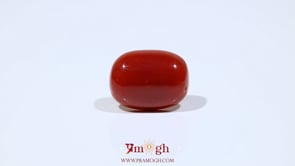 Red Coral - 9.6 Carat