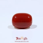Red Coral - 9.6 Carat