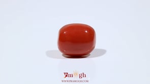 Red Coral - 11.55 Carat