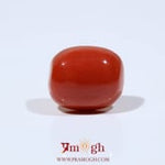 Red Coral - 11.55 Carat