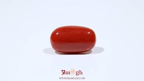 Red Coral - 10.1 Carat