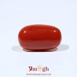Red Coral - 10.1 Carat
