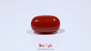 Red Coral - 12.7 Carat