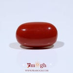 Red Coral - 12.7 Carat