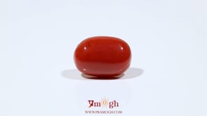 Red Coral - 9.9 Carat