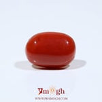 Red Coral - 9.9 Carat