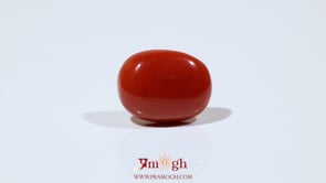 Red Coral - 11.25 Carat