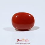 Red Coral - 11.25 Carat