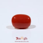 Red Coral - 8.1 Carat