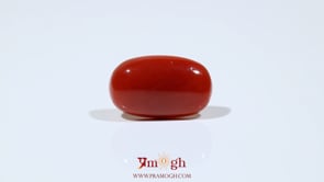 Red Coral - 8 Carat