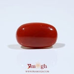 Red Coral - 8 Carat